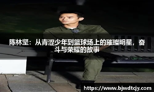 球速体育官网入口